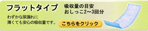 �t���b�g�^�C�v